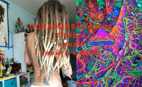 мяу мяу мука Няндома