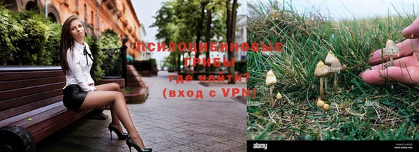 2c-b Балахна