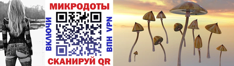 Псилоцибиновые грибы Magic Shrooms  OMG как зайти  Гудермес 