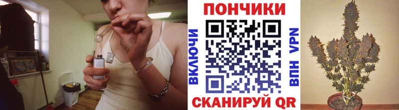 Бошки марихуана SATIVA & INDICA  ссылка на мегу tor  Гудермес 